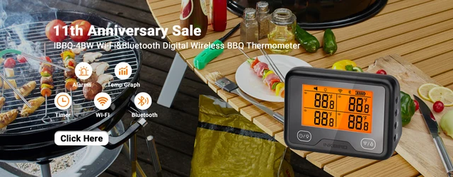 INKBIRD IBBQ-4BW Digital Wi-Fi&Bluetooth Grill Thermometer Rechargeable Wireless  BBQ Thermometer with 4 Probes with Graph - AliExpress