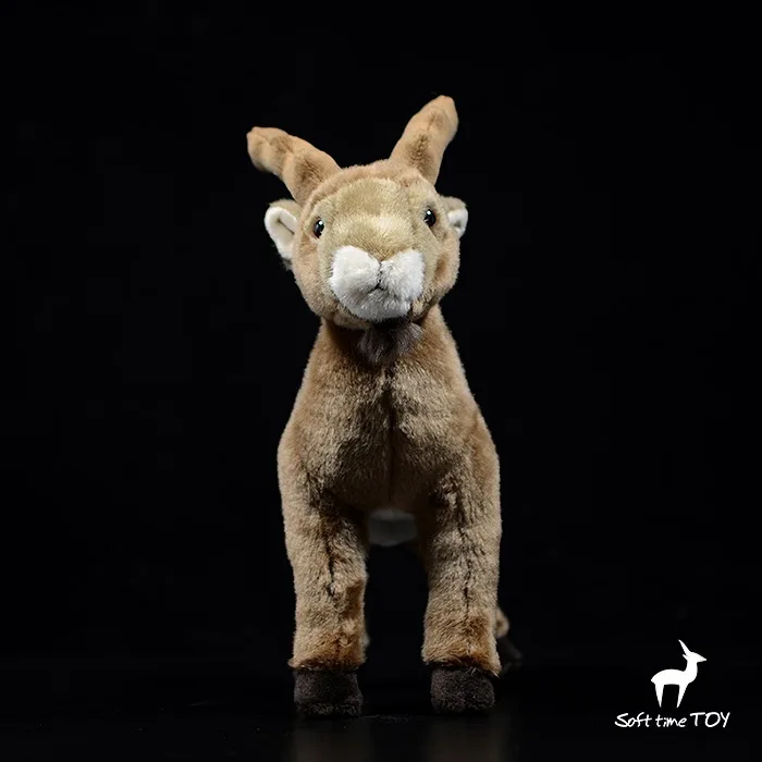 O1CN01sGiB3U1DnZyYsFvSZ_!!22080261