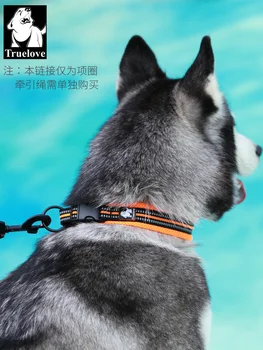 

Large Cat Pet Collar Dog Training Electric Perro Led Dog Collars and Harnesses Hondenriem Nylon Dogs Pets Accessories DD60QY