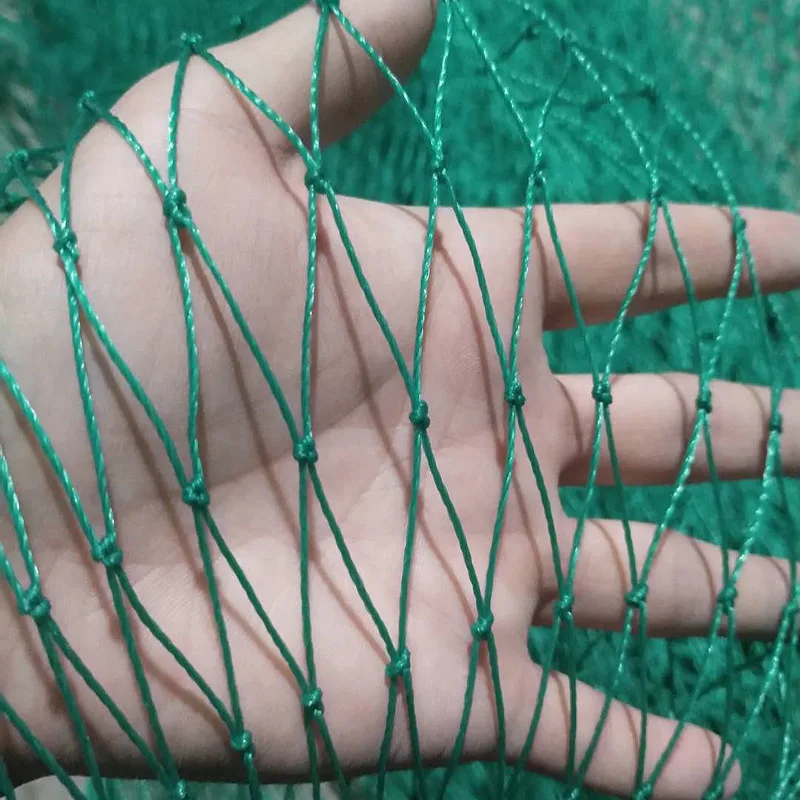 6-24 Strands Heavy Anti Bird Netting Courtyard Fence Garden Fence And Yard  Protection Net Chicken Net Fishing Net - Garden Netting - AliExpress