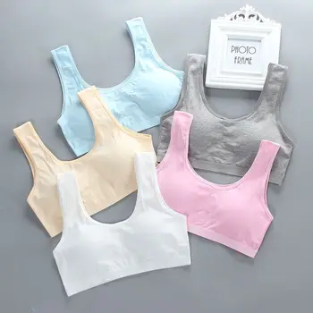 

1Pc/lot Cotton girl underwear Bra without rim development bra Adolescent chest vest Kids Children Cotton Underwear Vest Top