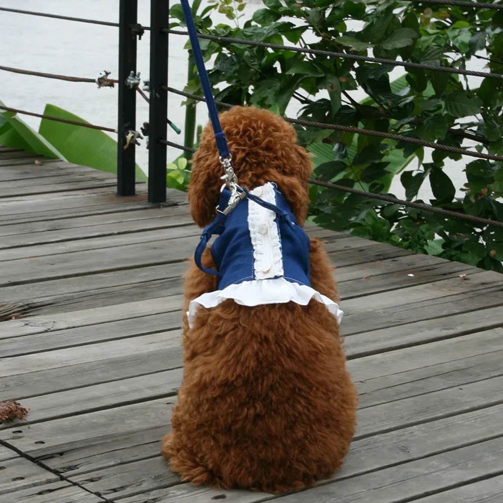 Beautiful and Comfortable Dog Harnesses, Leashes Dresses for Small Pet Cat Puppy, 2 Colors XS/S to Choose