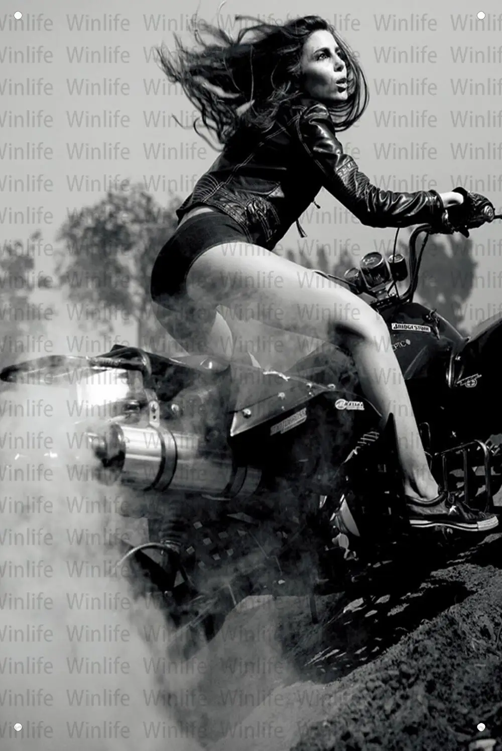 

Trail Locomotive Style Motor Club Garage Bar Metal Poster Vintage Tin Sign Wall Decor Motorcycle Art Painting Man Cave Plaques