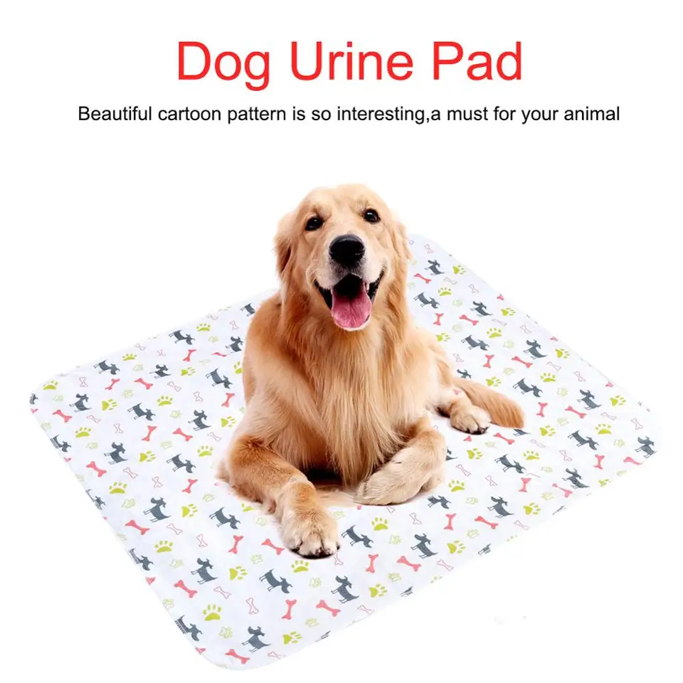 puppy pee mats