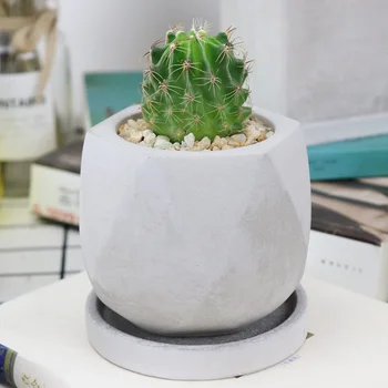 

Hot Breathable Corrosion-resistant Cement Flowerpot for Office Decoration Sturdy Mini Planter with Hole Practical Succulent