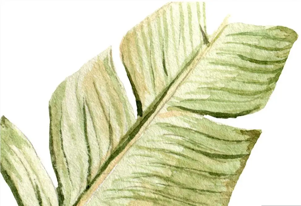 52
