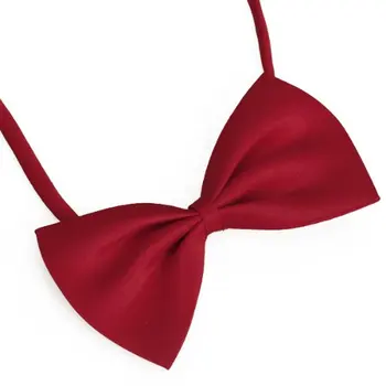 

Pet Cat Dog Bow Tie - red
