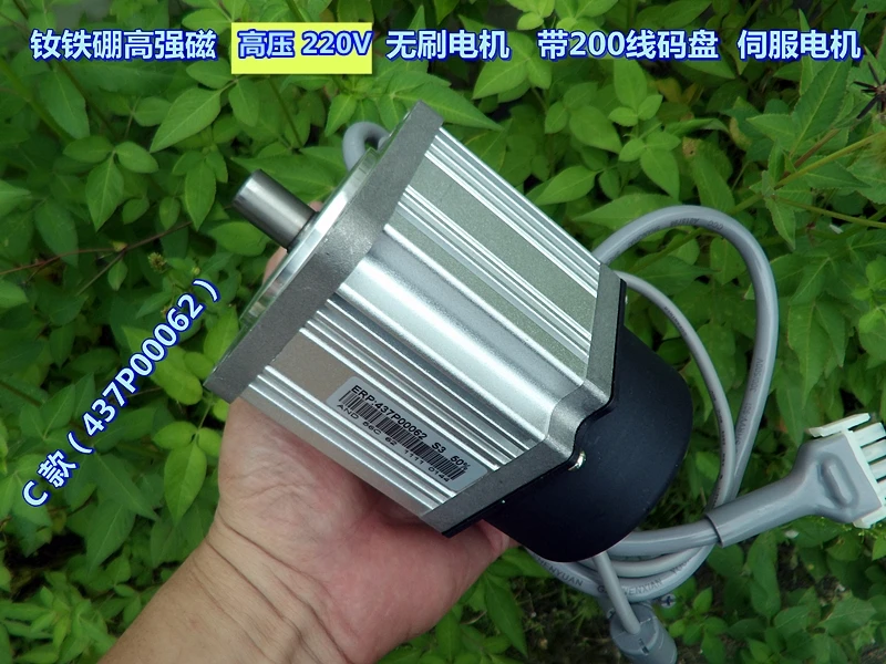 220V DC резистор высокое напряжение высокая NdFeB магнитный бесщеточный мотор сервоприводах(Джек трамвай) мотор