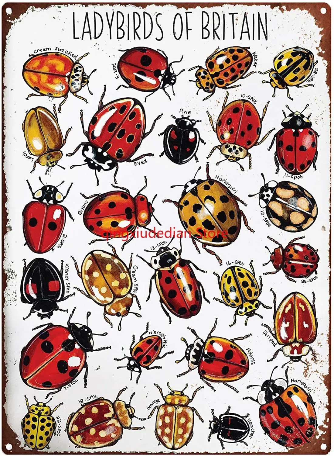 

Personalized Signs for Outdoors Ladybirds of Britain Watercolour Wildlife Print Vintage Metal Sign Letters