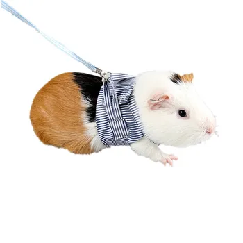 

Small Pet Two-legged Chest Strap Outdoor Traction Rope Leash Clothes for Chinchilla Dutch Guinea Pig Breathable Cotton Corset