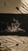 Black cat cross stitch package animal 18ct  14ct 11ct black cloth cotton thread embroidery DIY handmade needlework ► Photo 3/3
