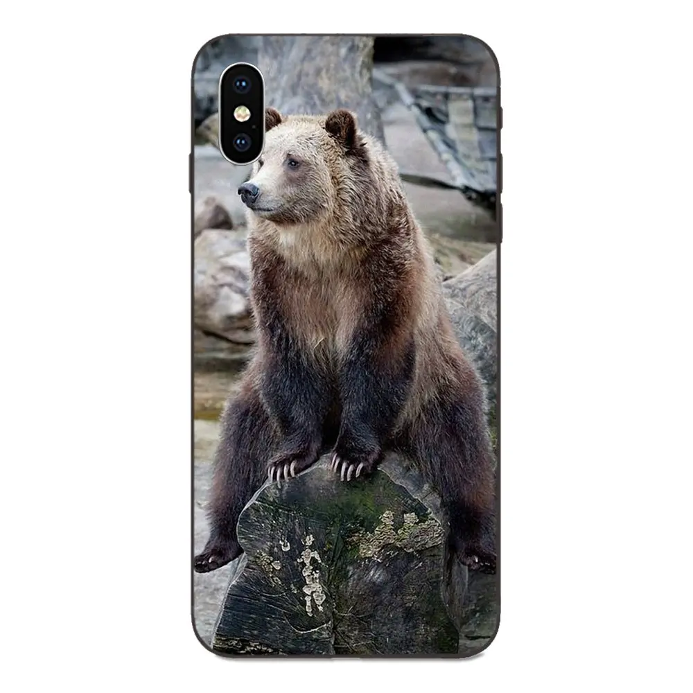 Grizzly Bear прозрачный мягкий чехол для Xiaomi Redmi Note 3 3S 4 4A 4X5 5A 6 6A 7 7A K20 Plus Pro S2 Y2 Y3 - Цвет: as picture