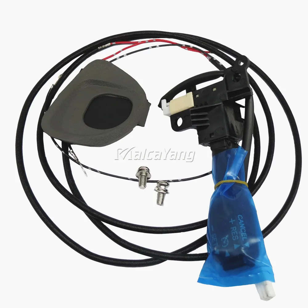Cruise Control Switch