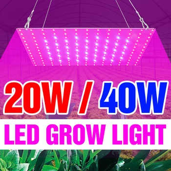

Indoor Flower Phyto Lamp LED Full Spectrum Vegetable Plant Grow Light LED Full Spectrum Fitolampy 20W 40W Hydroponic Growth Tent