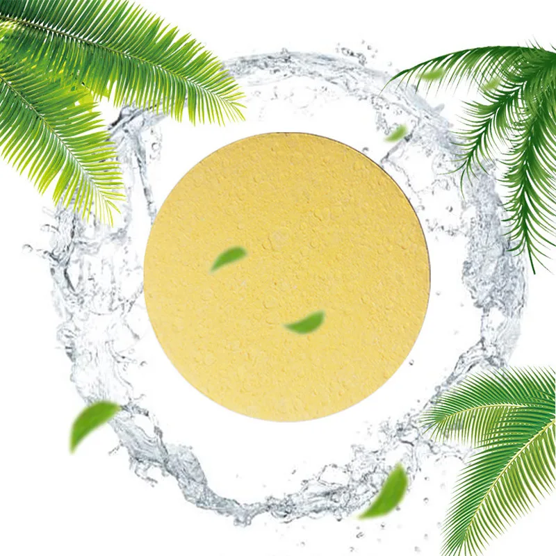 

5 Pcs Compressed Facial Sponge Natural Wood Pulp Cellulose Cosmetic Puff Professional Facial Cleansing and Exfoliating Sponge