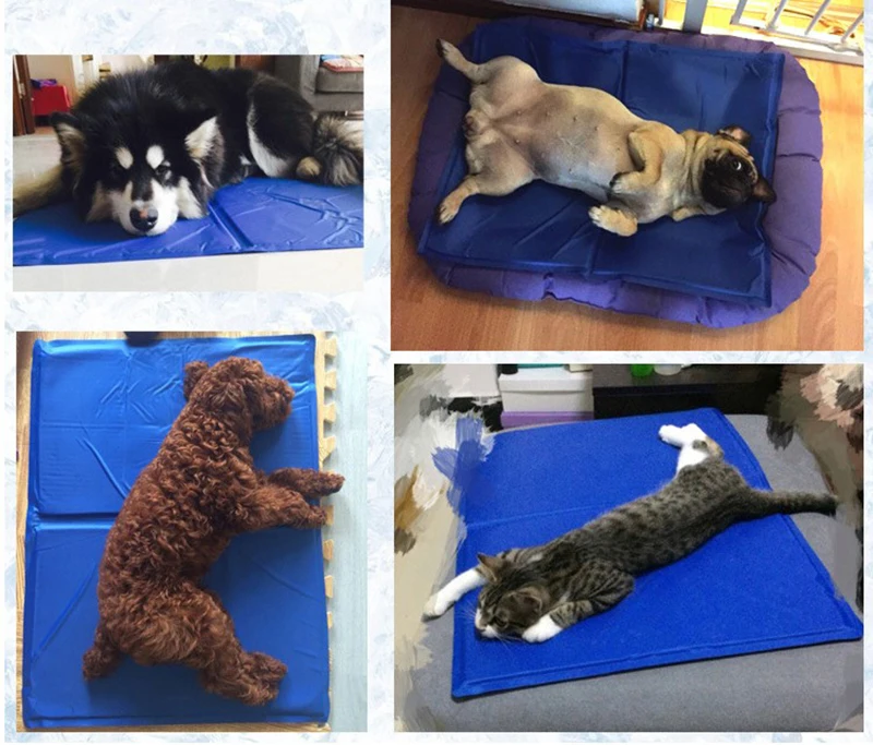 阿里旺旺图片20200423172750