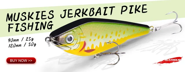 Fishing Lures Slider Sinker, Hunt House Jerkbait