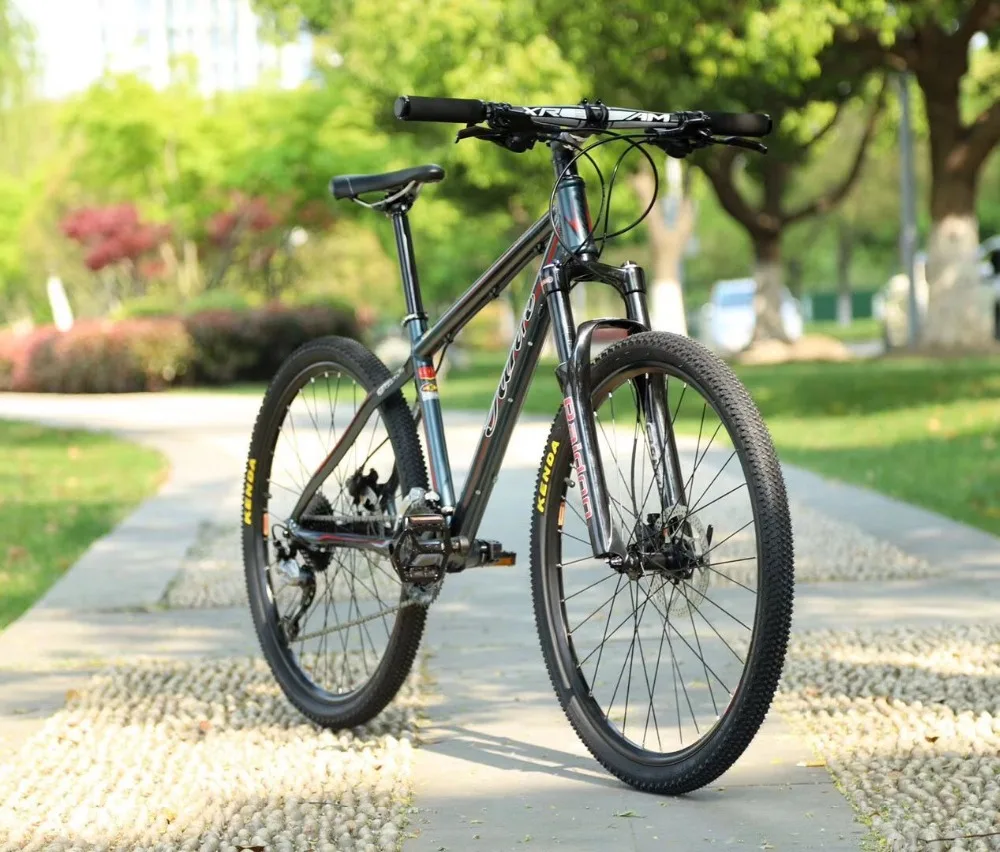 QQ图片20200602204925