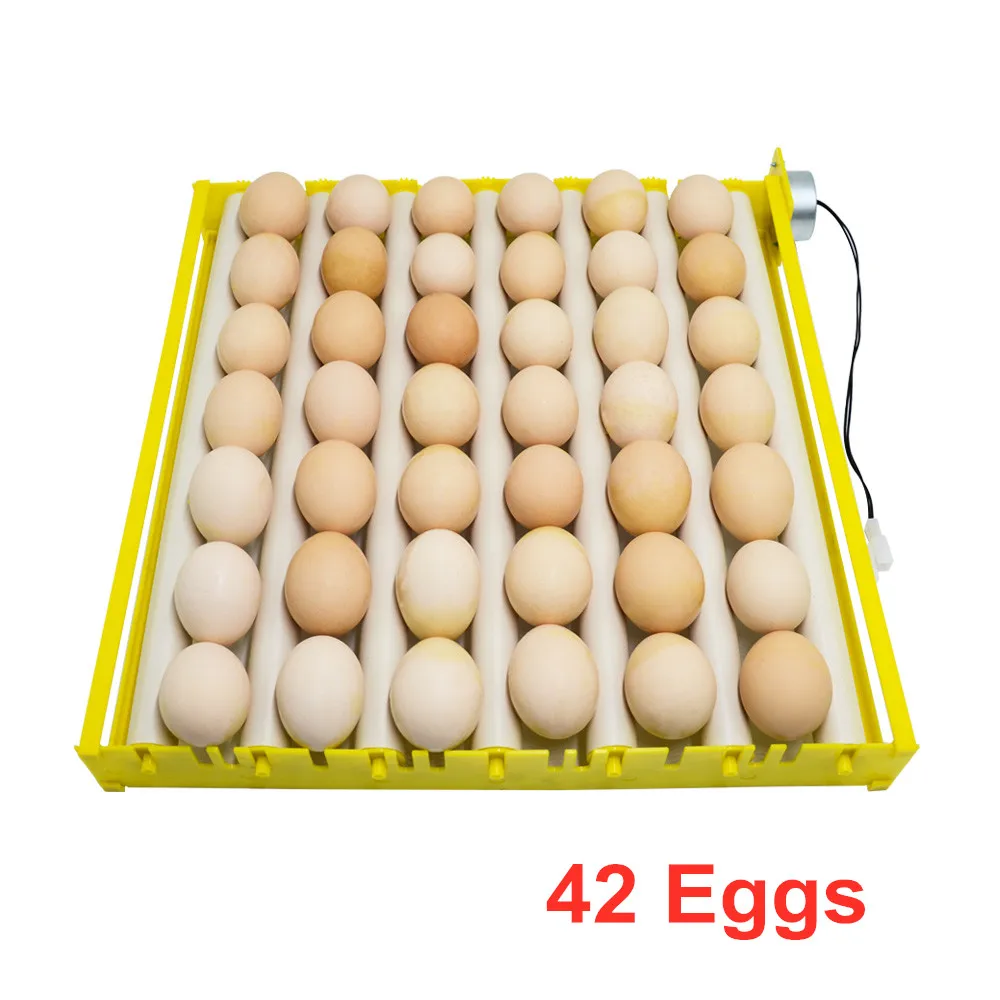 42 eggs