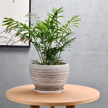 

Creative apple style bonsai pot ceramic flower pot with tray home creative green plant pot wholesale ceramic pot