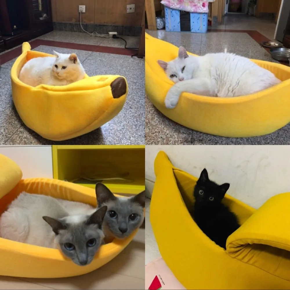 QQ图片20190910135337