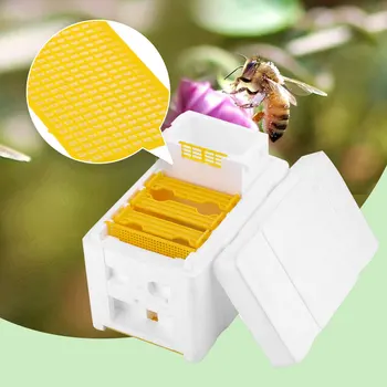 

1pc Breeding Box Professional Useful Premium Kit Foam Beehive Beekeeping Supplies Pollination Box for Farm Garden