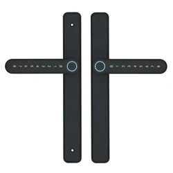 Co ele inteligente duplo face biométrico de impressão digital de segurança de ferro inteligente portão eletrônico senha fechadura da porta fechadura s1