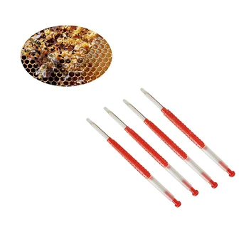 

10 Pcs Of Beekeeping Mobile Insect Needle Large-scale Feeding Grafting Beekeeping Type Telescopic Beekeeping Tools