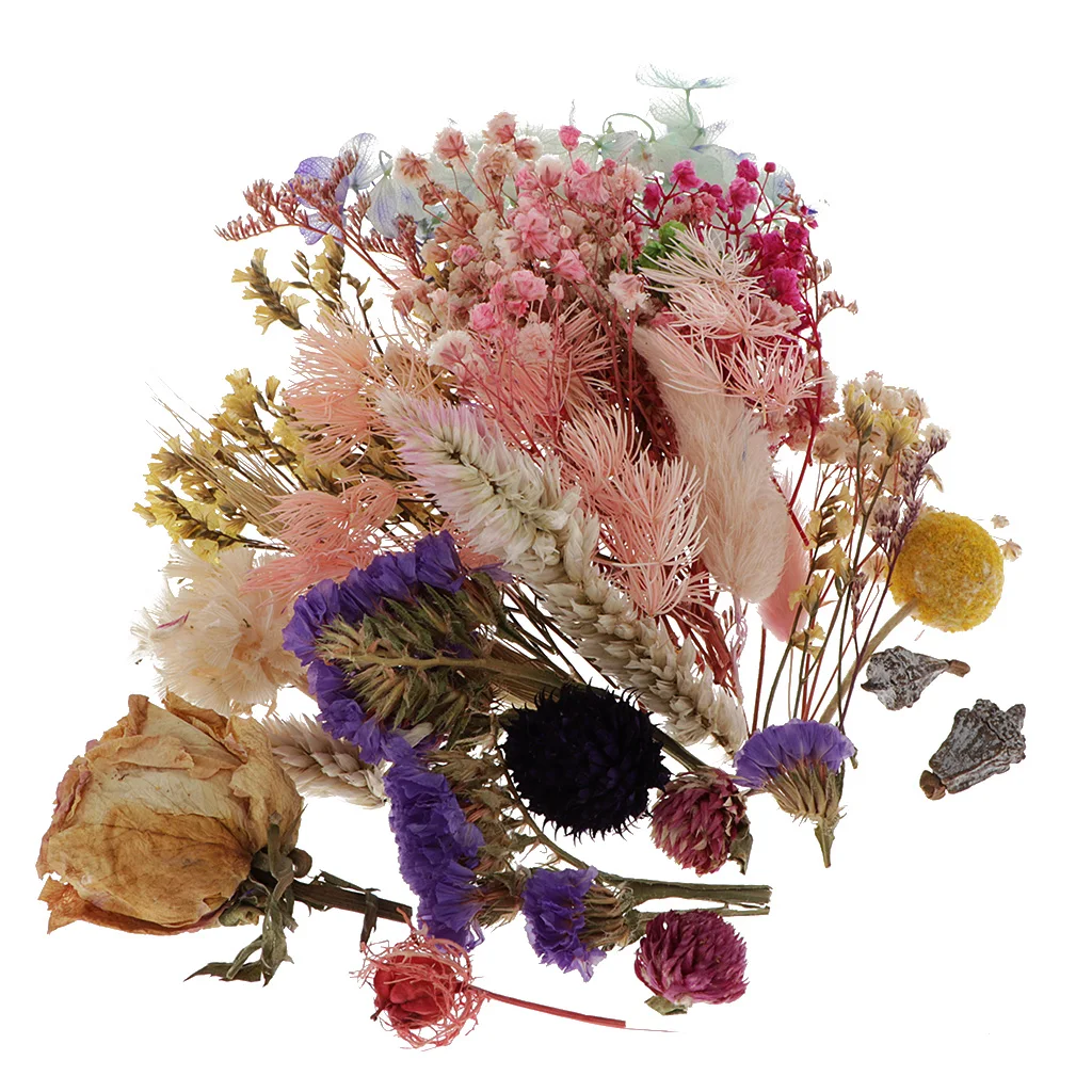 1Box Pressed Leaves Natural Dried Flowers Scrapbooking Card Making