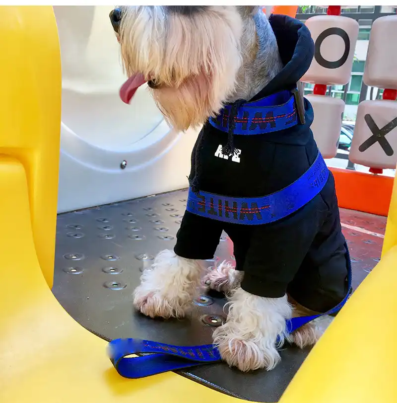 off white dog collar