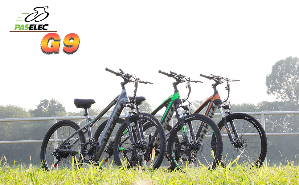 2021 New Arrivals Ebike Paselec Hot 