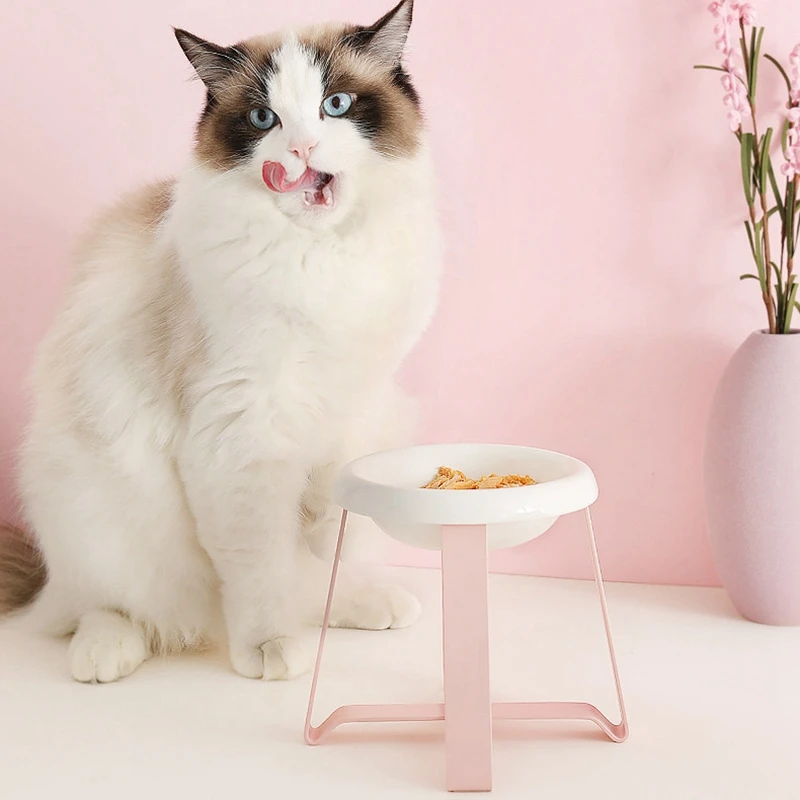 Собака Кошачьи миски для домашних животных миска для кота, собаки Еда Фидер для кормления Еда и воды Bowl