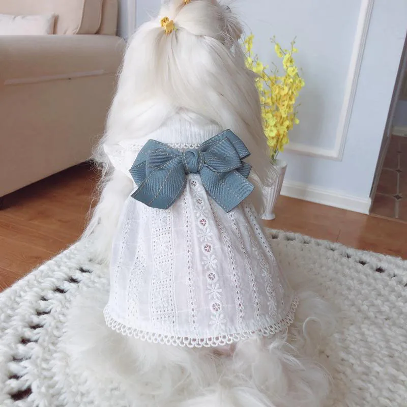 dress2