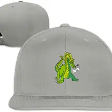 TSDFCMen& Woman прочный зеленый ребенок дракон дизайн плоский Дальнобойщик Шляпа Регулируемая унисекс