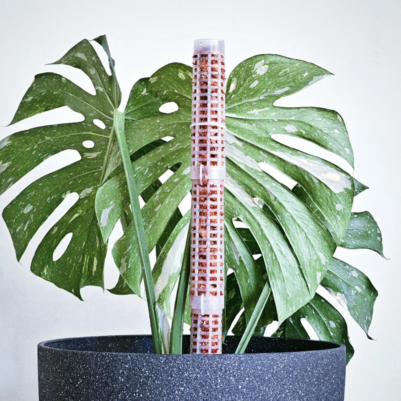 New Climbing Plant Pole Sphagnum Moss Sticks Plant Growing Support Water-retaining Fertilizer-rich Coconut Palm Stick