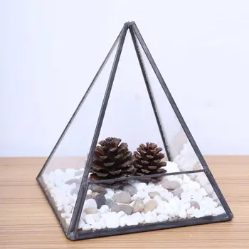 

Glass Terrarium Storage Box Glass Jewelry Holder Pyramid Tabletop Succulent Plant Terrarium Box/Air Plant & Cacti Holder Case