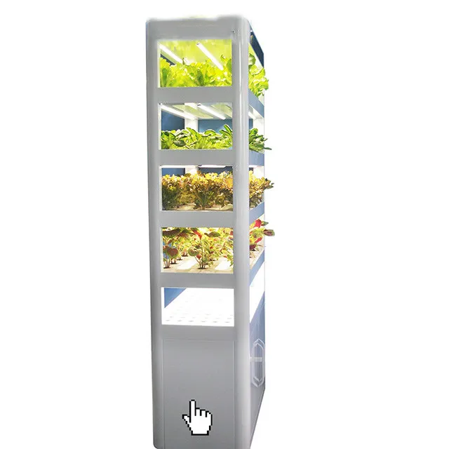 Greenhouse hydroponics growing systems for home growing fruits, vegetables, leafy greens, and flowers , fIsh