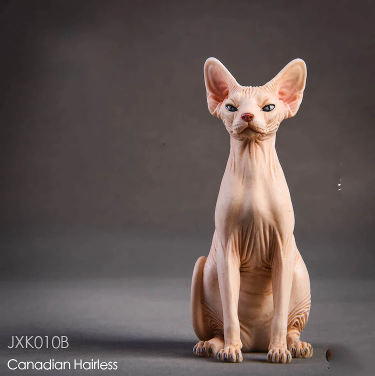 Модель животного из смолы 1/6 Jxk010 Канадская безволосовая кошка сфинкс 3 цвета