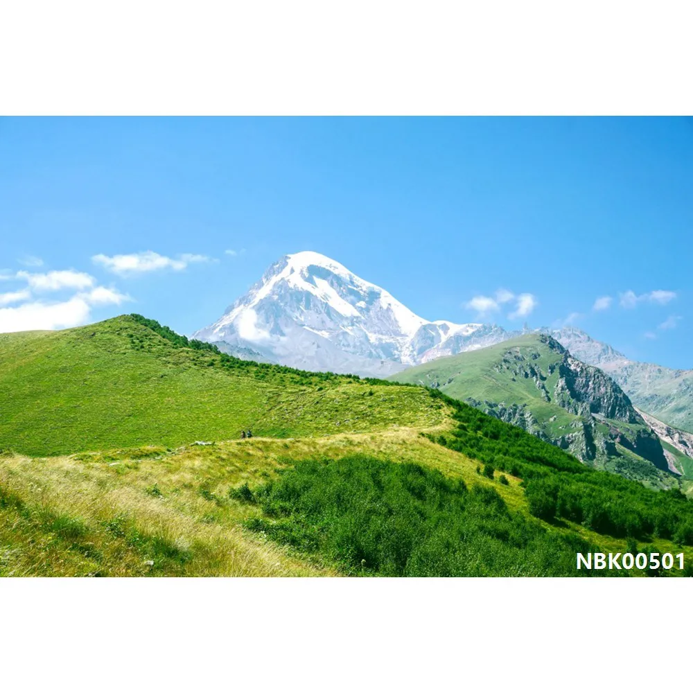 thumbnail image 1 of Fondos de fotografía de paisajes naturales con cielo azul, nubes blancas, montañas, árboles y ríos para bebés, 1 of 5