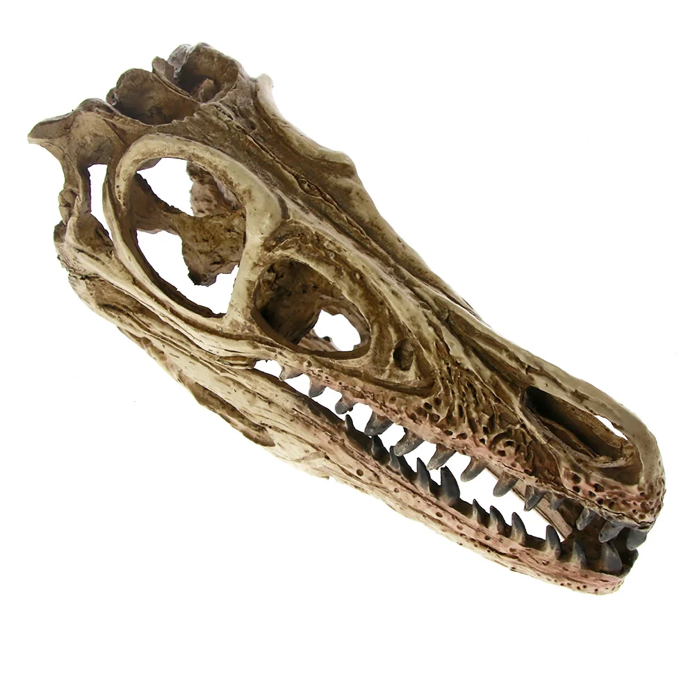 Высокоточная обучающая модель искусственная Velociraptor ископаемая смола Череп