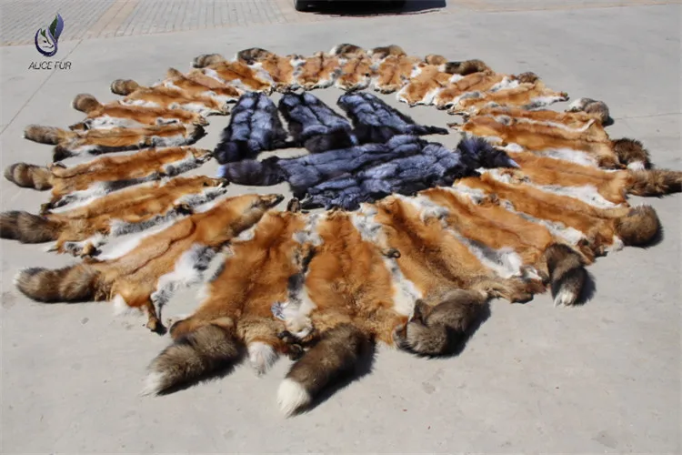 Fox skin06