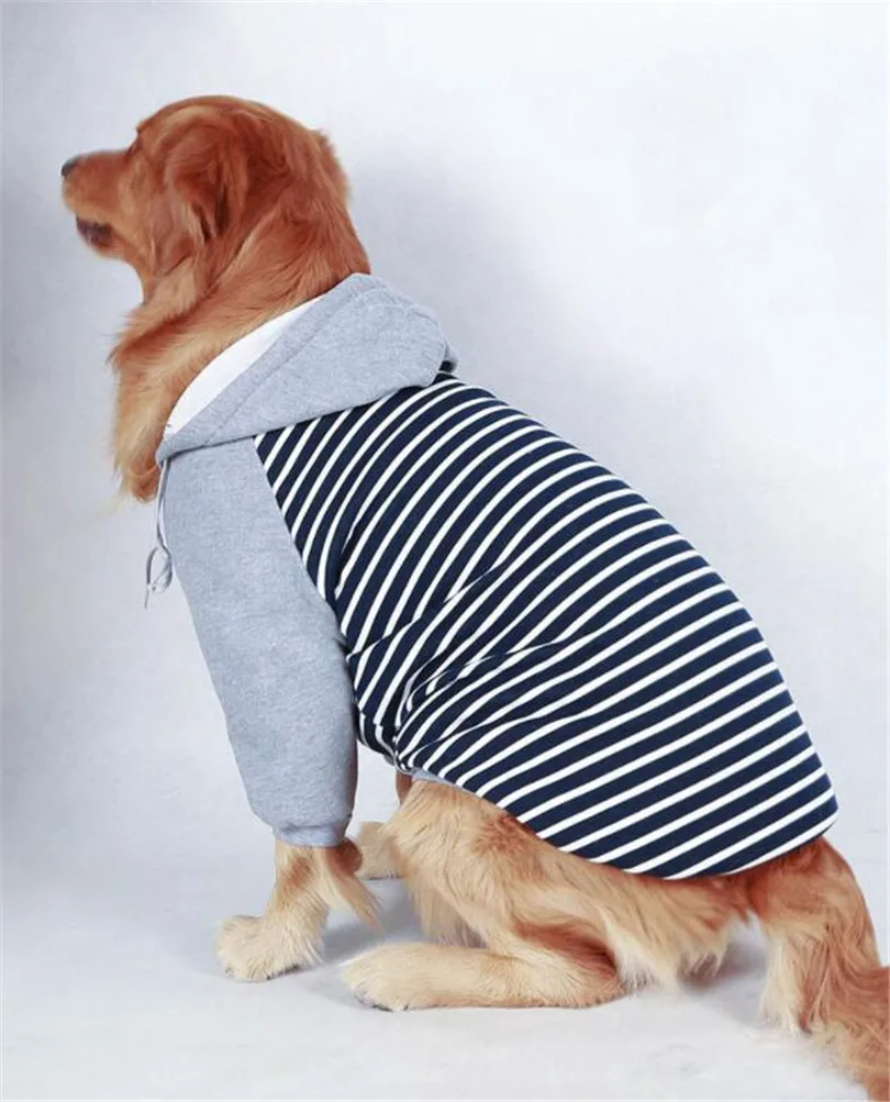 Pet Hoodie 4