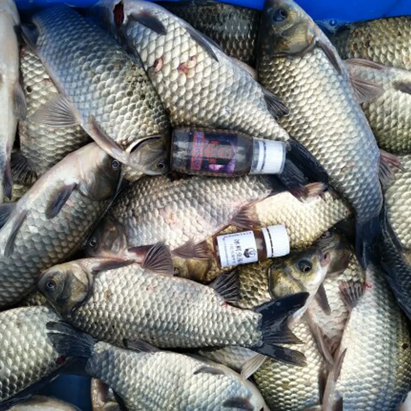

Carp Mad Bait Carp Small Yue Carp Adjustable Bottom Nest Material Additive Carp Small 51-100 Yuan Angling