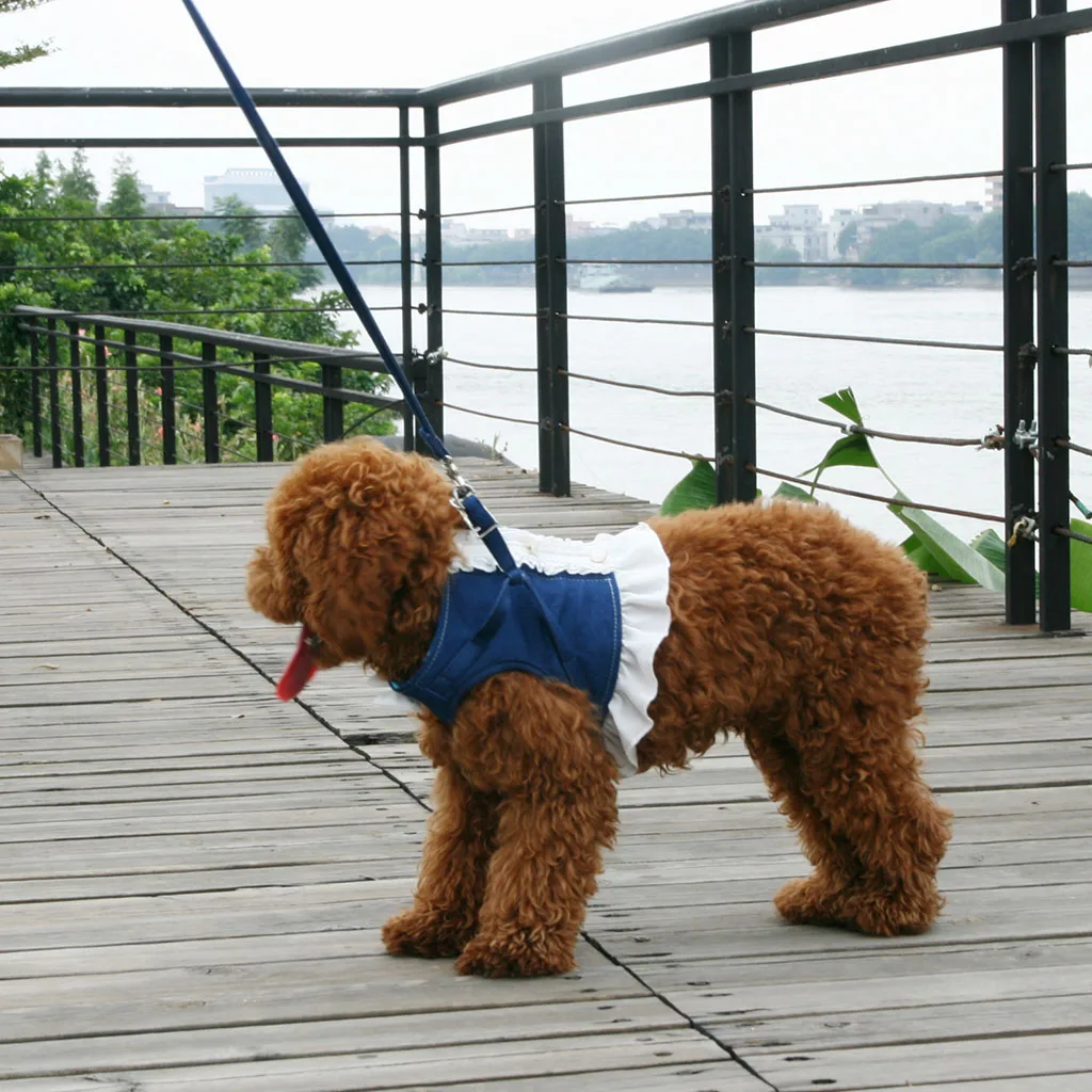 Beautiful and Comfortable Dog Harnesses, Leashes Dresses for Small Pet Cat Puppy, 2 Colors XS/S to Choose