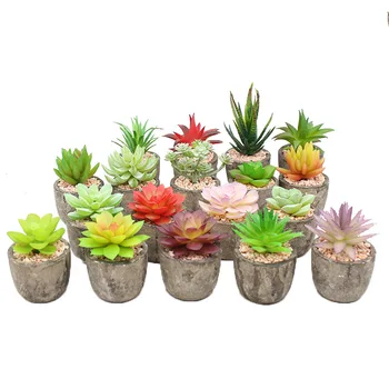 

Pastoral Style INS-Style Creative Simulation Multi-meat Potted Plant Pot Included Artificial Plant Bonsai Imitation Flowers Deco