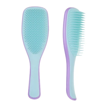 

2Pcs Anti-Static Hair Brush Comb Styling Teezer Shower Electroplate Detangling Massage Combs for Salon Styling