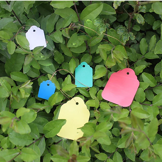 100 Db Tenyésztési Címke Kertészeti Üzem Pvc Vízálló Függő Jel Húsos Óvodai Készlet Virágok Címkézés Tb Eladás - Image 3