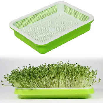 

Plastic Nursery Pots Seed Sprouter Tray Double-Layer Soil-Free Wheatgrass Grower Seedling Tray Sprout Plate Hydroponic Tray #1
