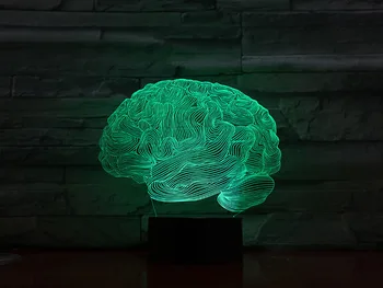 

3D Lamp Organ The Brain Pretty Present for Children for Living Room Decoration Dropshipping Led Night Light Lamp Personalized