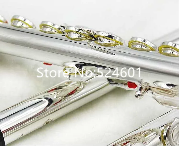 Flute C Tone16 Hole Open or Closed Holes with Case